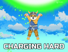 Genki Dama Crypto GIF by FLOKI