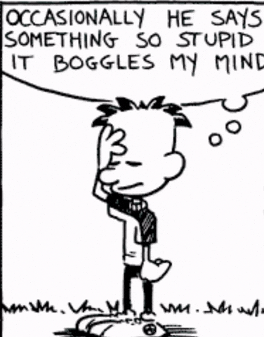 Niche GIF