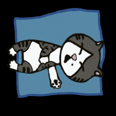irene_hsyu cat sleep lazy zzz GIF