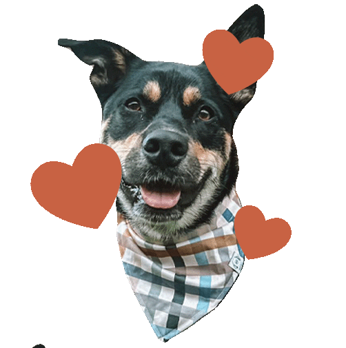 Heart Toast Sticker