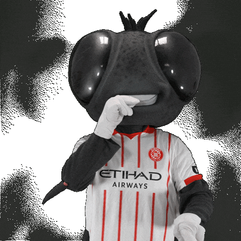 Futbol Club Sticker by Girona FC