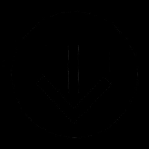 GIF by TunnelVisionSC