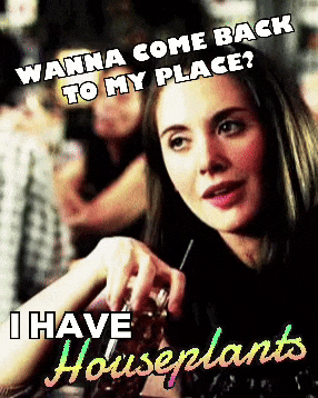 Houseplants GIF