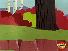 Bugs Bunny Running GIF by Looney Tunes