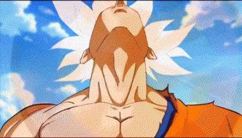 Dragon Ball Z Animation GIF