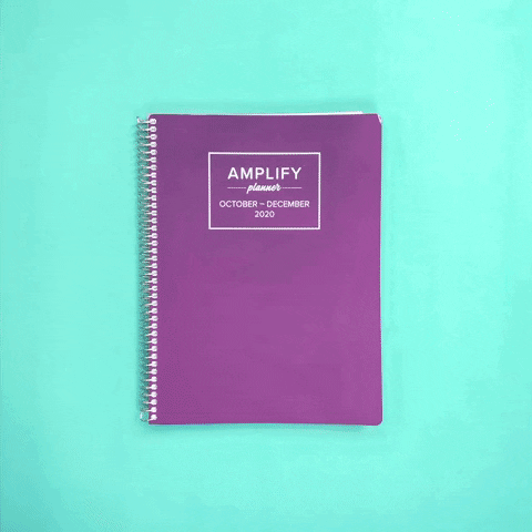GIF by Amplify Planner