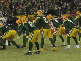 Green Bay Packers Love GIF