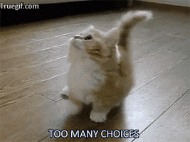 overwhelmed choices GIF
