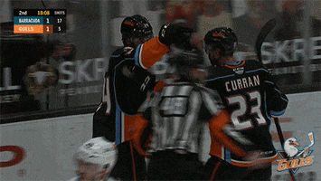 Excited Lets Go GIF by San Diego Gulls