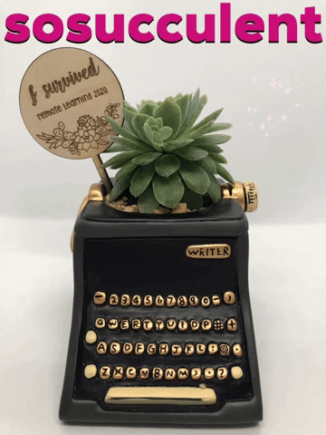 Sosucculent GIF