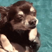 GIF by Production Club