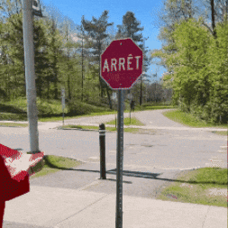 Desbiens Ulaval GIF by Université Laval