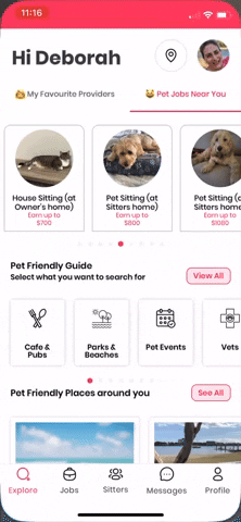 Pets GIF