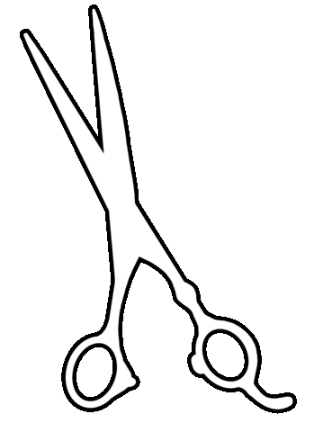 Salon Gemini Sticker