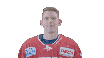 Hockey Family Sticker by Eisbären Regensburg