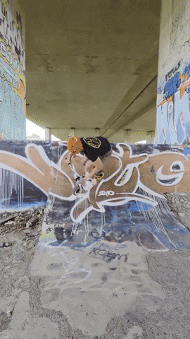 Stunt Man Frog GIF