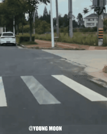 Sorry Golden Retriever GIF