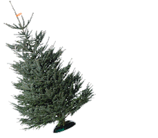 Christbaum Service Sticker