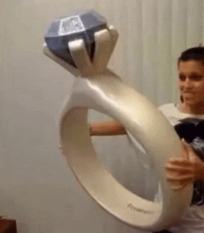 Propose Marry Me GIF