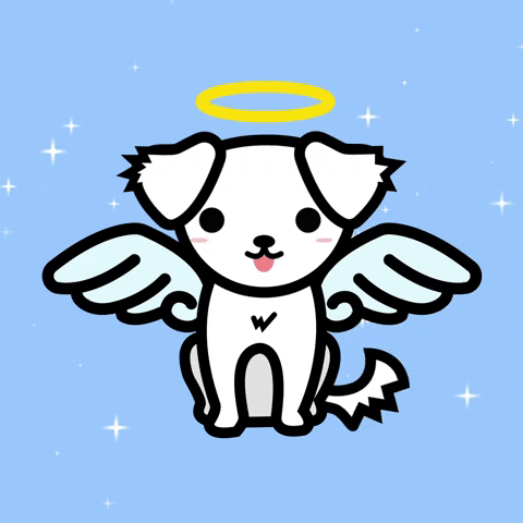 Digital art gif. A little white puppy has angel wings and a halo on its head as it wags its tail and sticks its tongue out at us.
