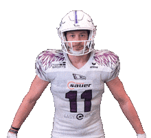 Reutlingen Eagles Sticker