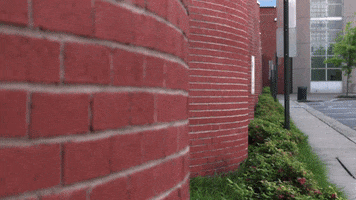 200.gif?cid=fc005b08363c3b0a134f38320b168ab3dba7f7c4e32acd54&rid=200.gif&ct=g