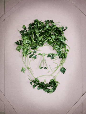 GIF by Liberation.fr