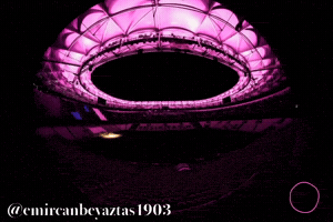 Beşiktaş GIF