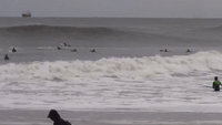 Long Beach Surfers Take Advantage of Big Swells from Ex-Hurricane Hermine