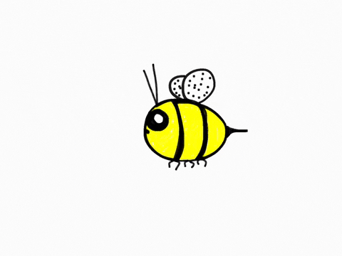 animation of baby bee Alex