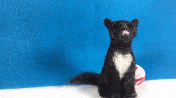 you got this cool cat GIF by ELFvid
