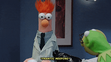 the muppets cant wait GIF