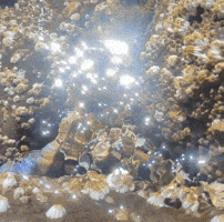 Love It Magic GIF