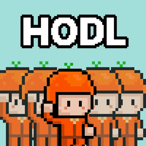 Crypto Hold GIF by CoinEasy