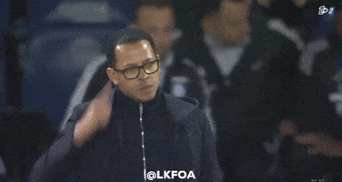 Chelsea Fc Football GIF