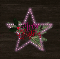 Merry Christmas GIF
