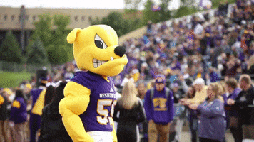 Game Football GIF by Western Illinois University