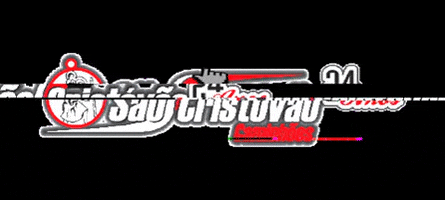 Truck Vw GIF by São Cristóvão Caminões