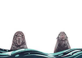 Sea Ocean Sticker by De Aqua Vivo