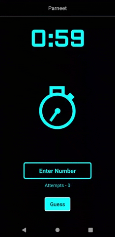 Number Entry