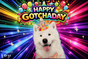 Happy Dog GIF
