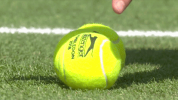 Ball Tennis GIF by Wimbledon