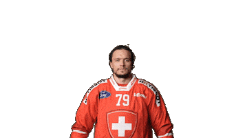 Celebrate National Team Sticker by Swiss Ice Hockey