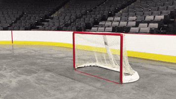 sliding ice hockey GIF by Lehigh Valley Phantoms
