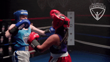 allroundchampiontv fight boxing punch olympics GIF