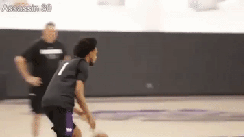 Sacramento Kings Nba GIF