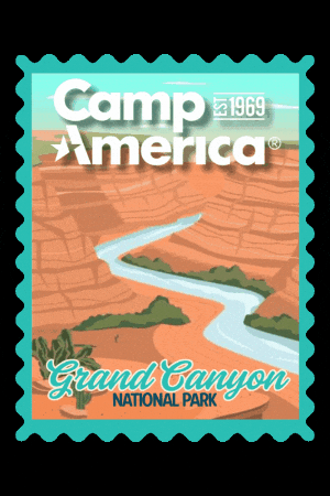 GIF by Camp America