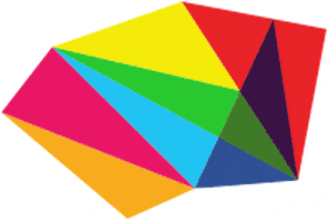 Chameleon Creative Studio GIF