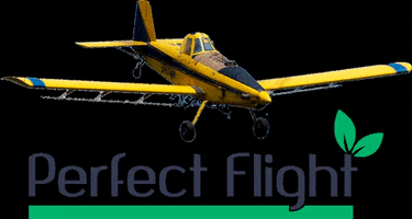 Perfect Flight GIF
