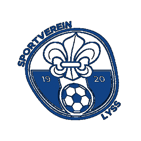 Soccer Svl Sticker by delaaysport
